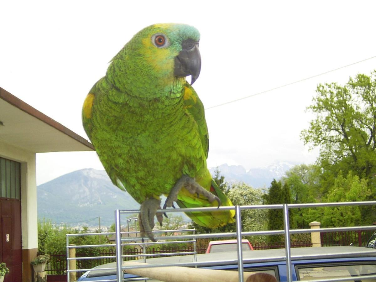 Le Paon Bleu Annecy Poisy Bed & Breakfast Екстериор снимка
